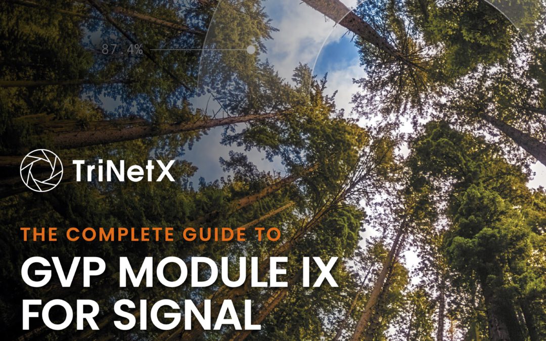 The Complete Guide to GVP Module IX (GVP-IX) for Signal Management