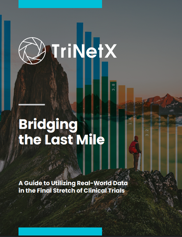 Bridging the Last Mile eBook cover