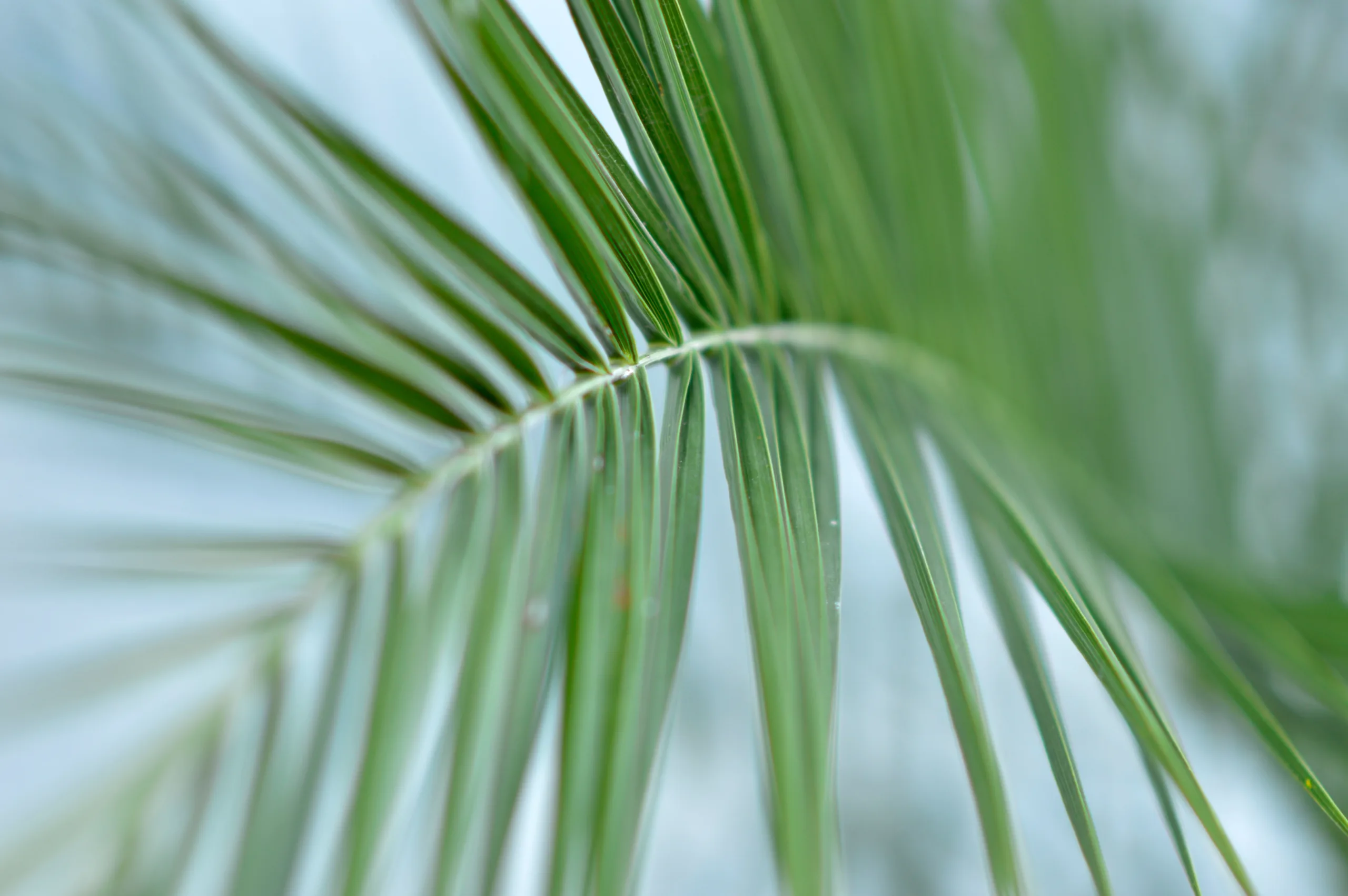 AdobeStock_1382284458