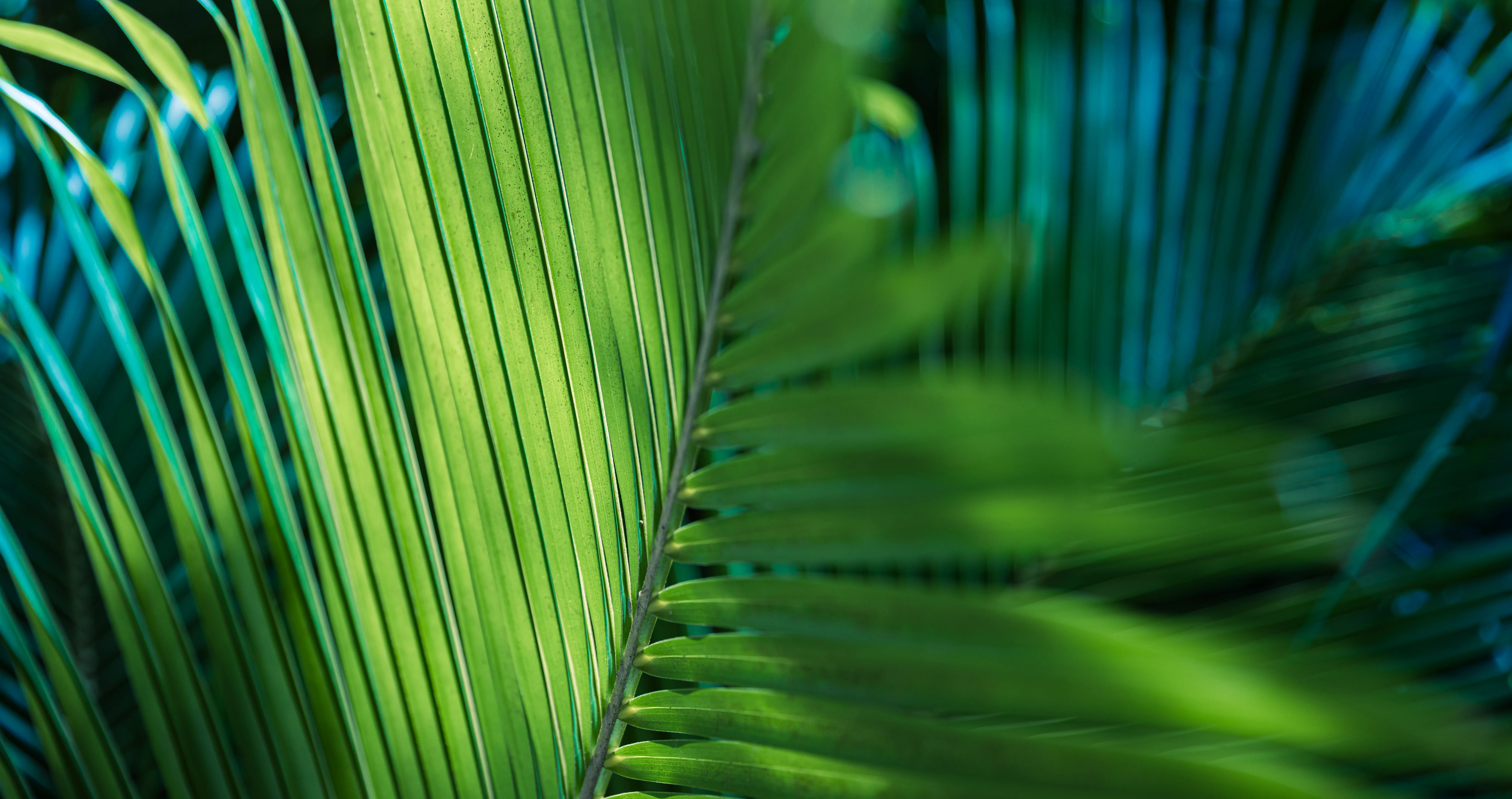 AdobeStock_1758727901