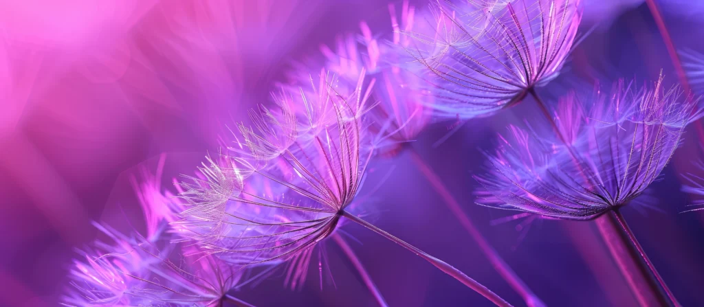 Macro flower image