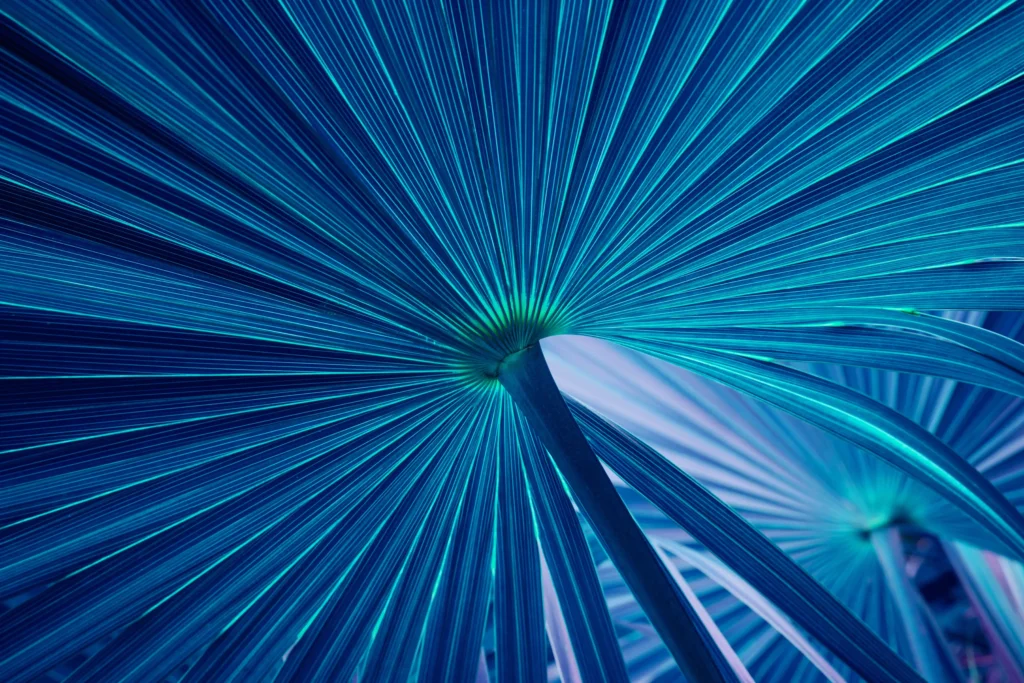 How to Get the Most Out of EHR Data