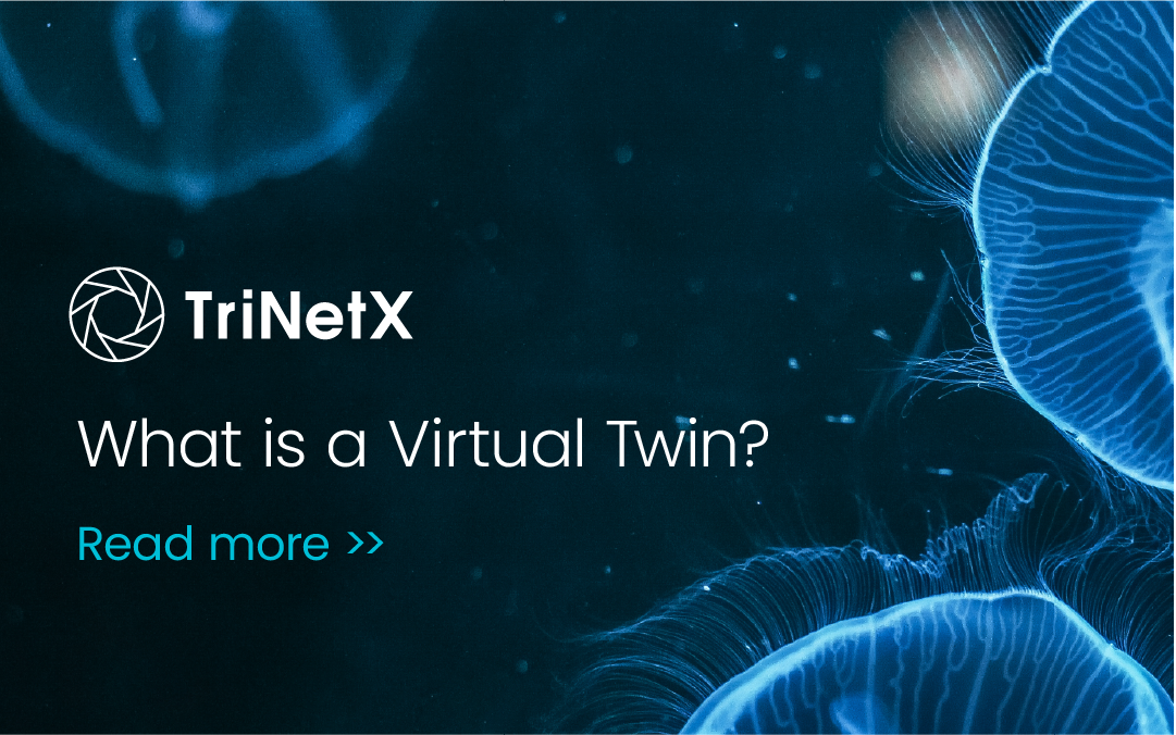From Real-World Data to Virtual Twins: Building the Next Generation of Precision-Medicine Tools