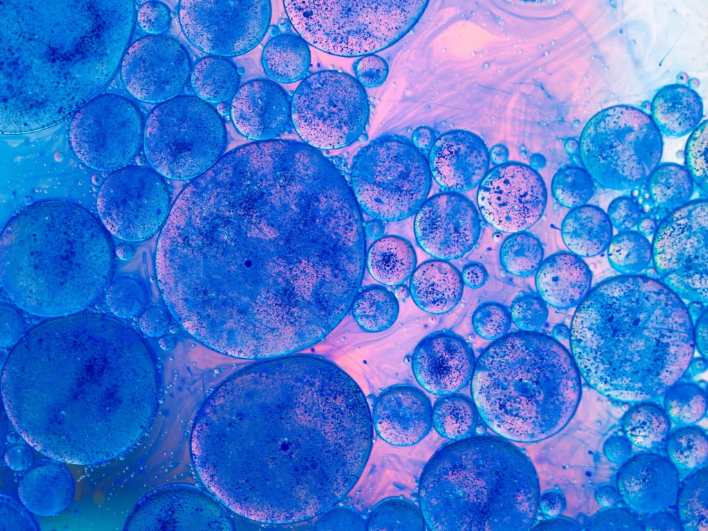 micro image of purple and pink cells