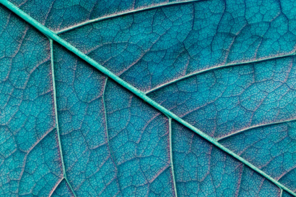 From Real-World Data to Trustworthy Evidence: Designing Studies That the Data Can Support